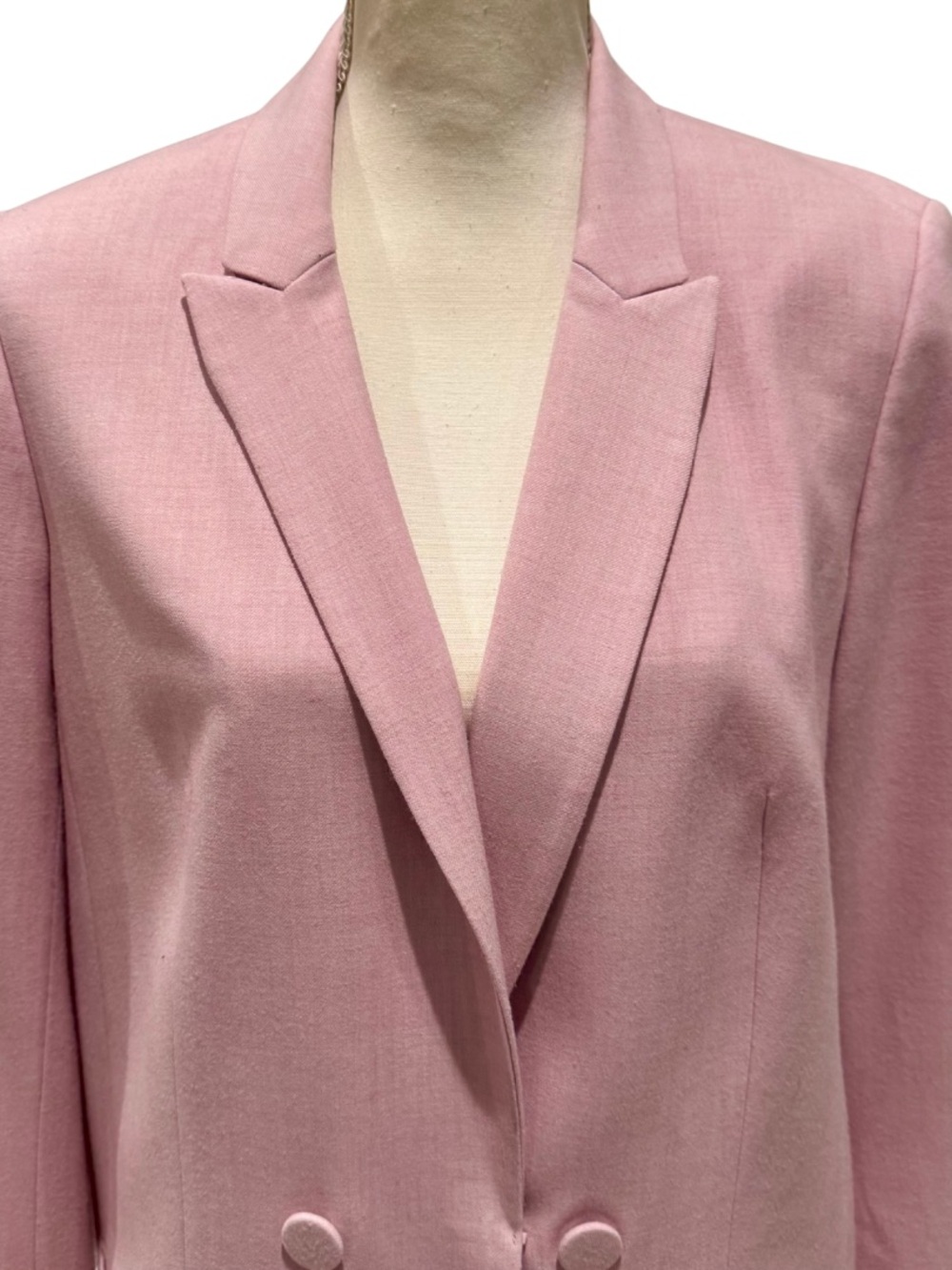 Express Double-Breasted Blazer in Pale Pink (L) - Picture 5 of 13